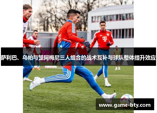 萨利巴、乌帕与楚阿梅尼三人组合的战术互补与球队整体提升效应