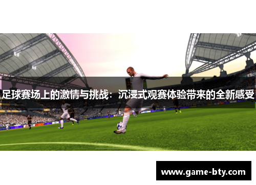 足球赛场上的激情与挑战：沉浸式观赛体验带来的全新感受