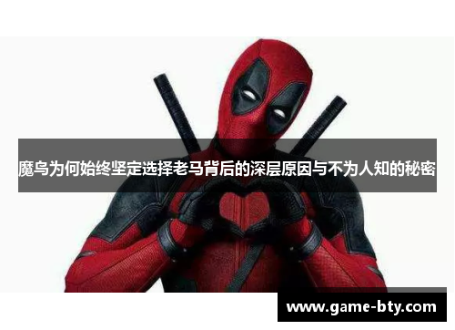 魔鸟为何始终坚定选择老马背后的深层原因与不为人知的秘密